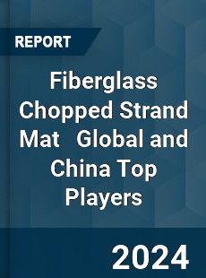 Fiberglass Chopped Strand Mat Global and China Top Players Market