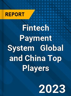 Fintech Payment System Global and China Top Players Market