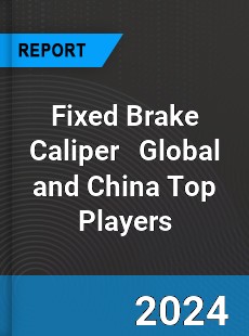 Fixed Brake Caliper Global and China Top Players Market