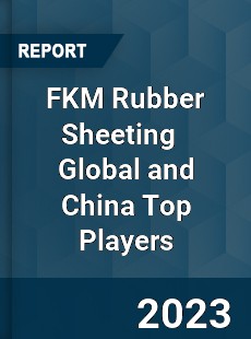 FKM Rubber Sheeting Global and China Top Players Market