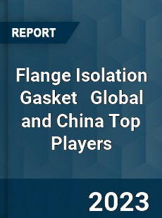 Flange Isolation Gasket Global and China Top Players Market