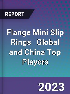 Flange Mini Slip Rings Global and China Top Players Market