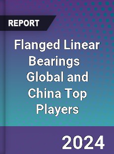 Flanged Linear Bearings Global and China Top Players Market