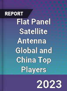 Flat Panel Satellite Antenna Global and China Top Players Market