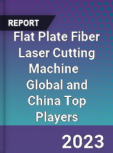 Flat Plate Fiber Laser Cutting Machine Global and China Top Players Market