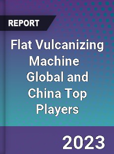 Flat Vulcanizing Machine Global and China Top Players Market