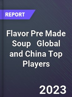 Flavor Pre Made Soup Global and China Top Players Market