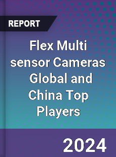 Flex Multi sensor Cameras Global and China Top Players Market