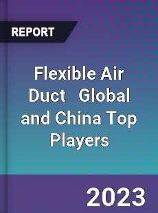 Flexible Air Duct Global and China Top Players Market