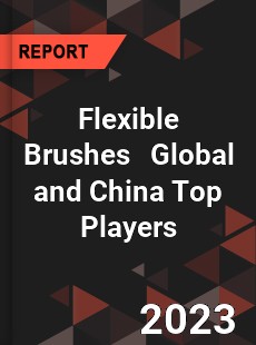 Flexible Brushes Global and China Top Players Market