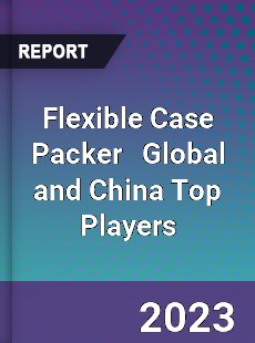 Flexible Case Packer Global and China Top Players Market