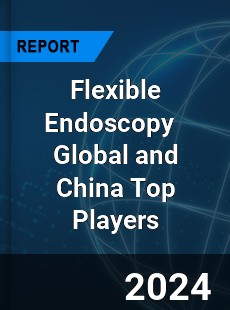 Flexible Endoscopy Global and China Top Players Market