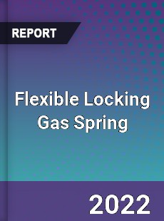 Flexible Locking Gas Spring Market