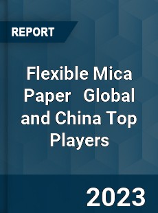 Flexible Mica Paper Global and China Top Players Market