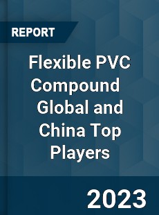 Flexible PVC Compound Global and China Top Players Market