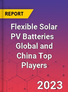 Flexible Solar PV Batteries Global and China Top Players Market