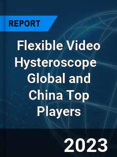 Flexible Video Hysteroscope Global and China Top Players Market