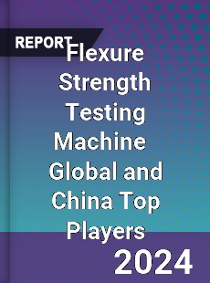 Flexure Strength Testing Machine Global and China Top Players Market