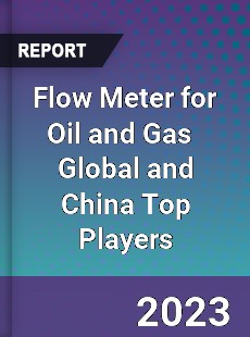 Flow Meter for Oil and Gas Global and China Top Players Market