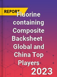 Fluorine containing Composite Backsheet Global and China Top Players Market