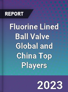 Fluorine Lined Ball Valve Global and China Top Players Market