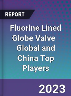 Fluorine Lined Globe Valve Global and China Top Players Market