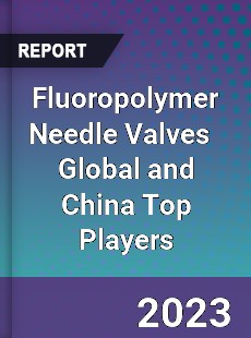 Fluoropolymer Needle Valves Global and China Top Players Market