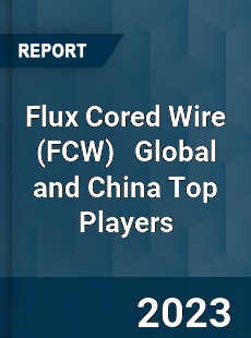 Flux Cored Wire Global and China Top Players Market