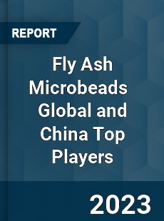 Fly Ash Microbeads Global and China Top Players Market