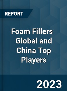 Foam Fillers Global and China Top Players Market