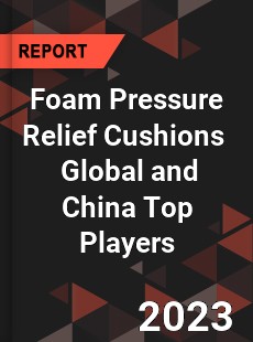 Foam Pressure Relief Cushions Global and China Top Players Market
