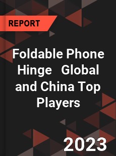 Foldable Phone Hinge Global and China Top Players Market