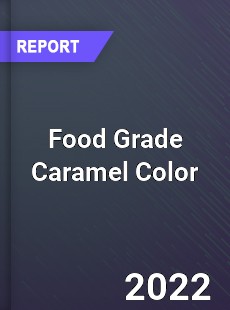 Food Grade Caramel Color Market