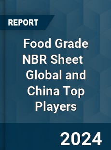 Food Grade NBR Sheet Global and China Top Players Market