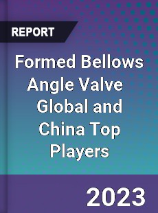 Formed Bellows Angle Valve Global and China Top Players Market