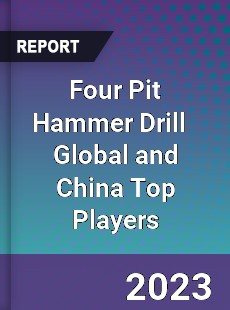 Four Pit Hammer Drill Global and China Top Players Market