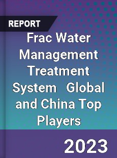 Frac Water Management Treatment System Global and China Top Players Market