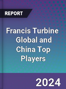 Francis Turbine Global and China Top Players Market