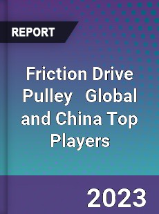 Friction Drive Pulley Global and China Top Players Market