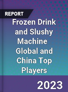 Frozen Drink and Slushy Machine Global and China Top Players Market