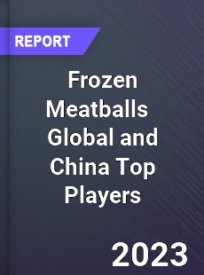 Frozen Meatballs Global and China Top Players Market