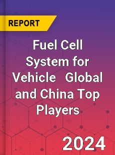 Fuel Cell System for Vehicle Global and China Top Players Market