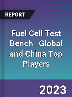 Fuel Cell Test Bench Global and China Top Players Market