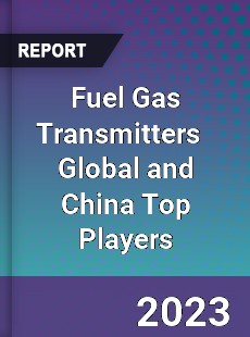 Fuel Gas Transmitters Global and China Top Players Market