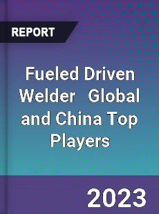 Fueled Driven Welder Global and China Top Players Market