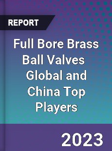 Full Bore Brass Ball Valves Global and China Top Players Market