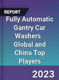 Fully Automatic Gantry Car Washers Global and China Top Players Market