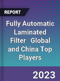 Fully Automatic Laminated Filter Global and China Top Players Market