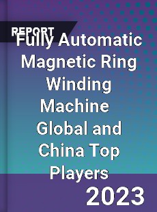 Fully Automatic Magnetic Ring Winding Machine Global and China Top Players Market