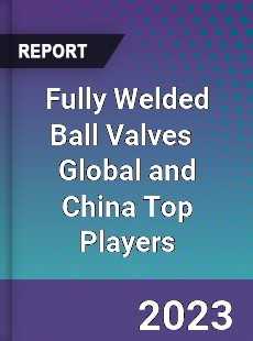 Fully Welded Ball Valves Global and China Top Players Market